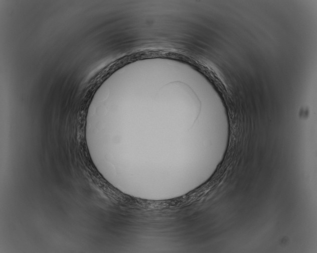 X0000090921064200708271020