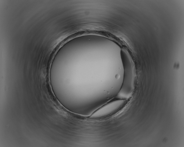 X0000090921065200708271020