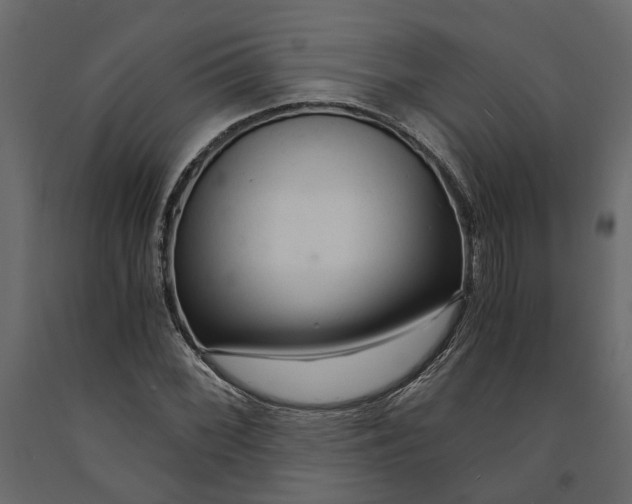 X0000090921068200708271020