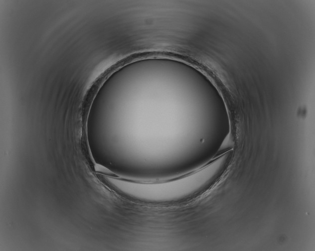 X0000090921069200708271020