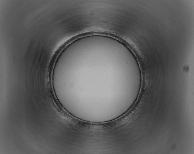 X0000090921070200708271020