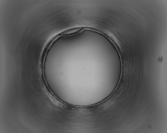 X0000090921072200708271020