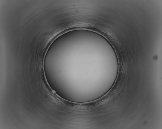 X0000090921073200708271020