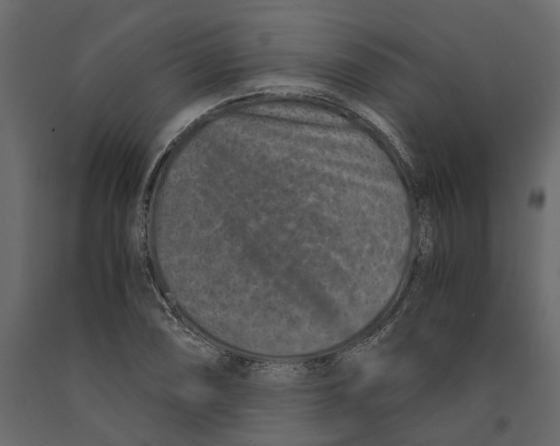 X0000090921074200708271020