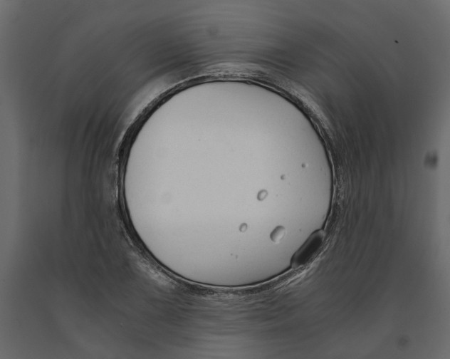 X0000090921075200708271020