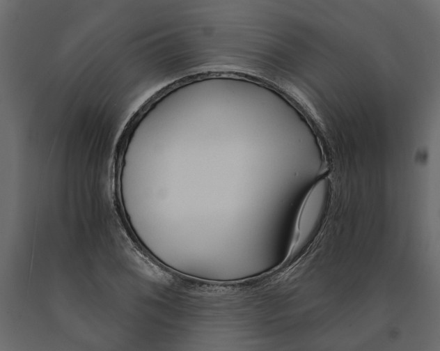 X0000090921076200708271020