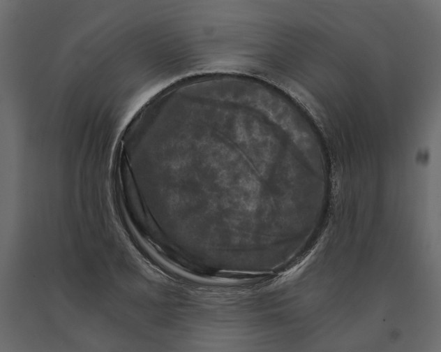 X0000090921077200708271020