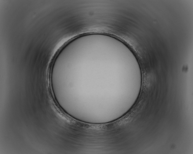 X0000090921078200708271020