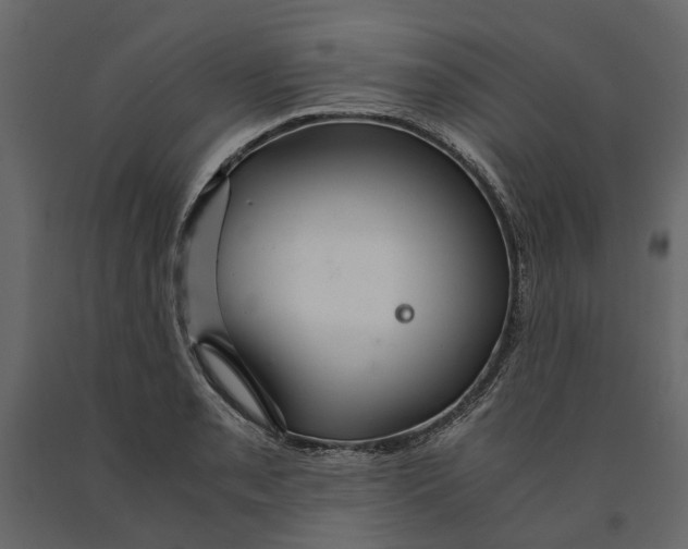 X0000090921085200708271020