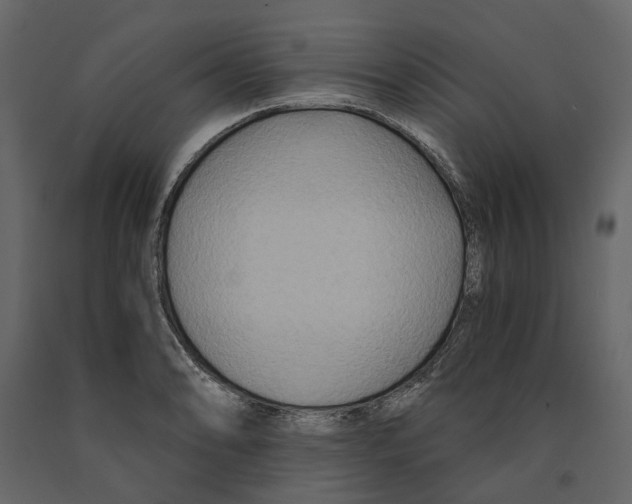 X0000090921086200708271020