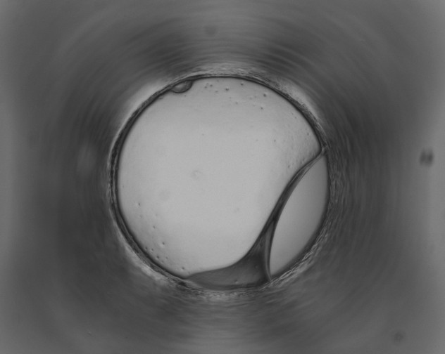 X0000090921087200708271020