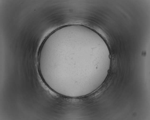 X0000090921088200708271020