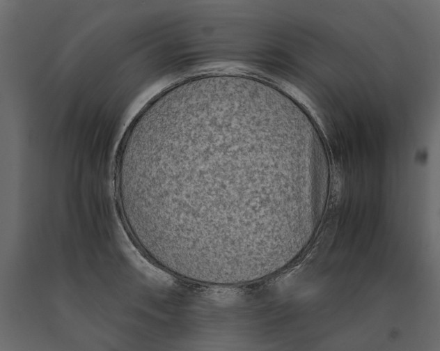 X0000090921090200708271020