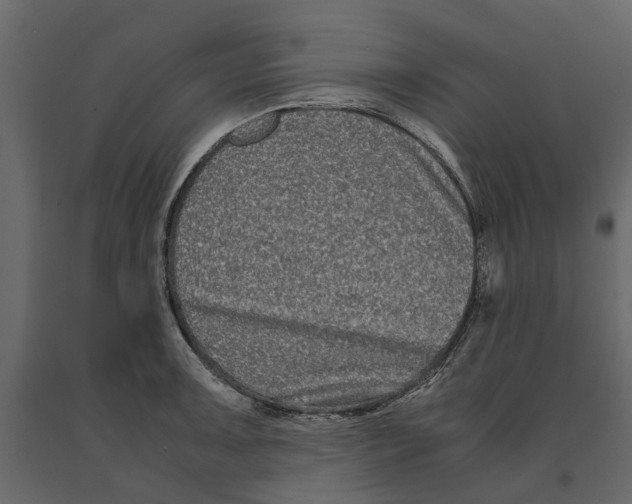 X0000090921091200708271020