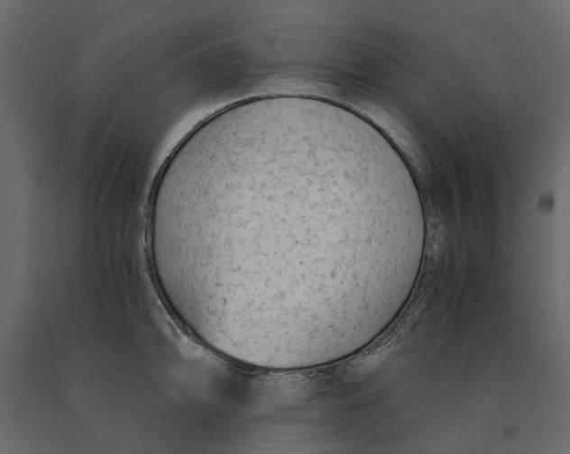 X0000090921094200708271020