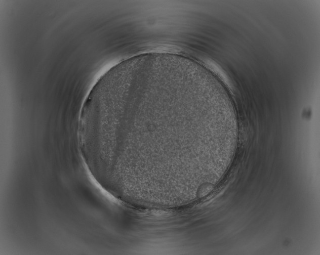 X0000090921095200708271020