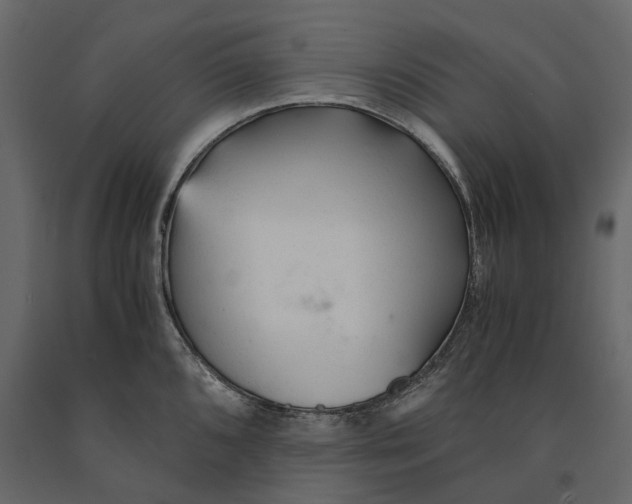 X0000090921096200708271020