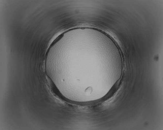 X0000090921097200708271020