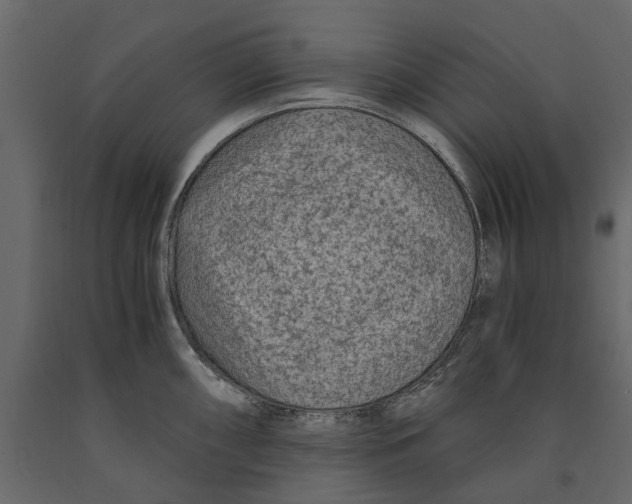 X0000090921098200708271020