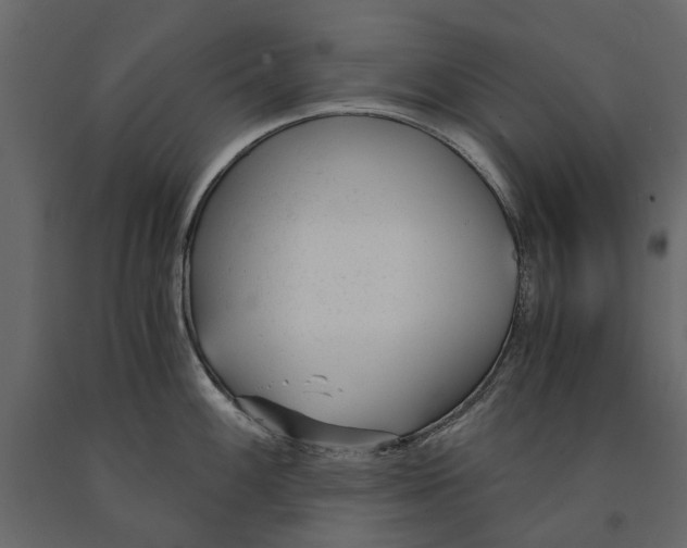 X0000090921100200708271020