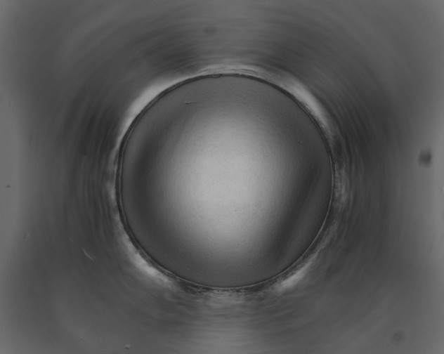 X0000090921102200708271019