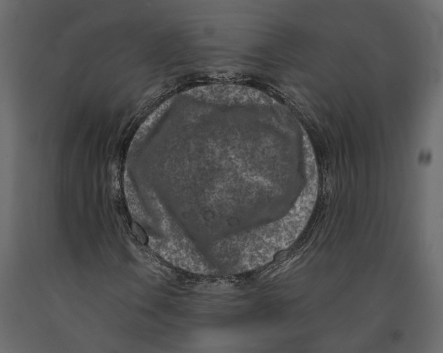 X0000090921106200708271019