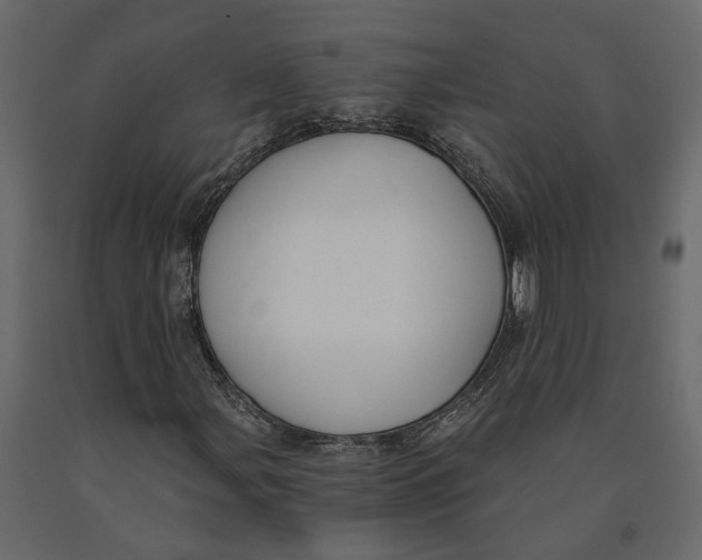 X0000090921107200708271019