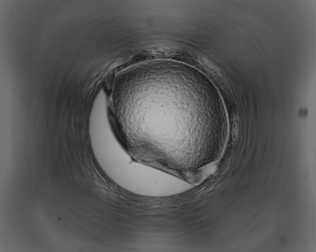 X0000090921108200708271019