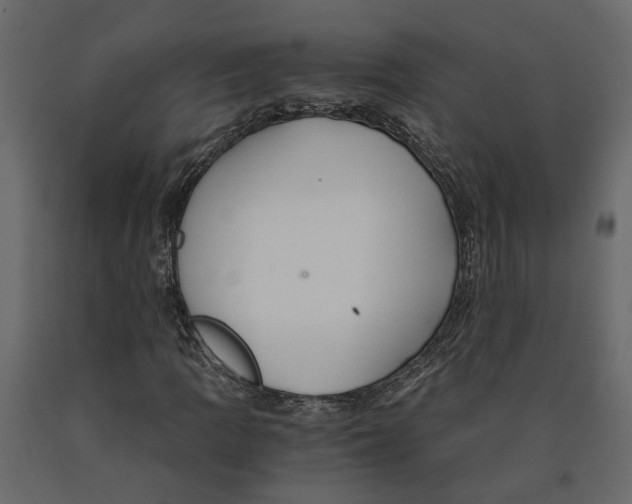 X0000090921109200708271019