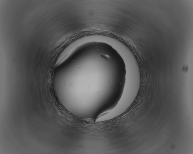 X0000090921110200708271019