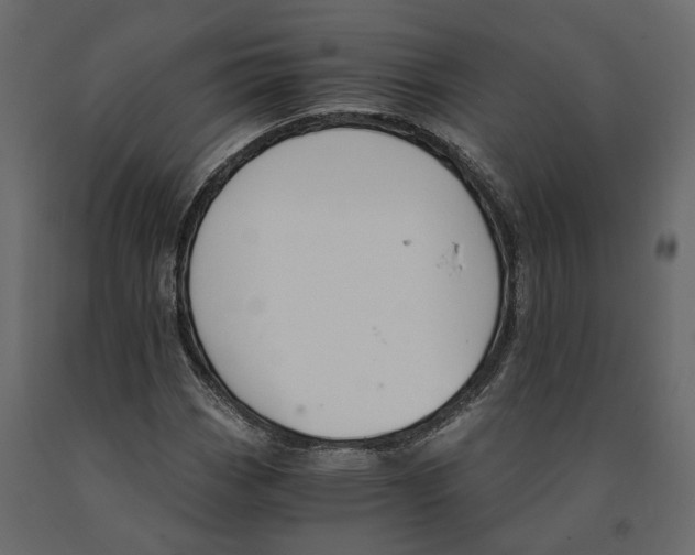 X0000090921113200708271019