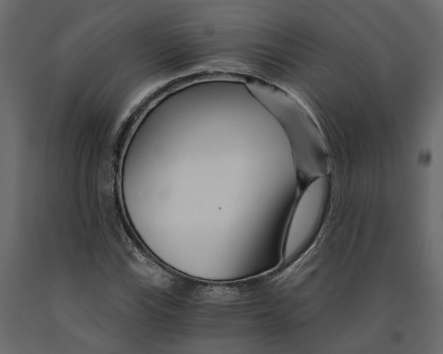 X0000090921115200708271019