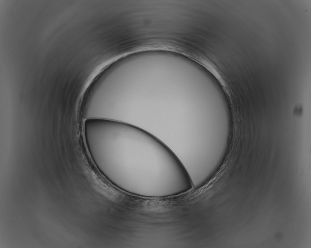 X0000090921116200708271019