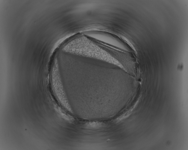 X0000090921117200708271019