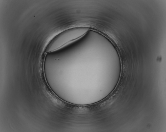 X0000090921119200708271019