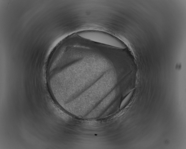 X0000090921120200708271019