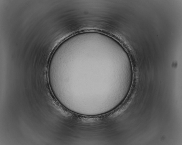 X0000090921121200708271019