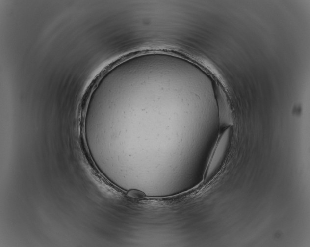 X0000090921124200708271019