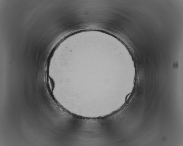 X0000090921126200708271019