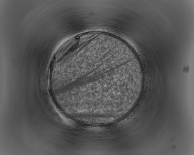 X0000090921127200708271019