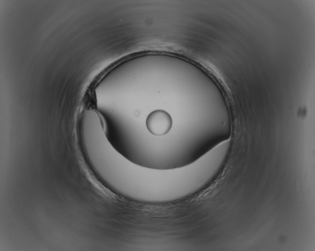 X0000090921128200708271019