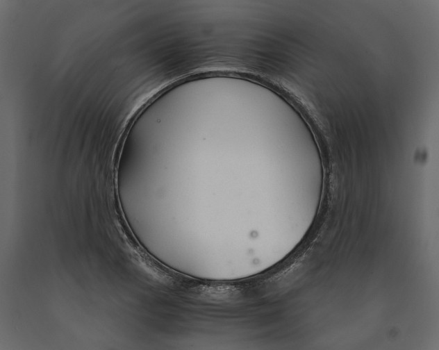 X0000090921129200708271019