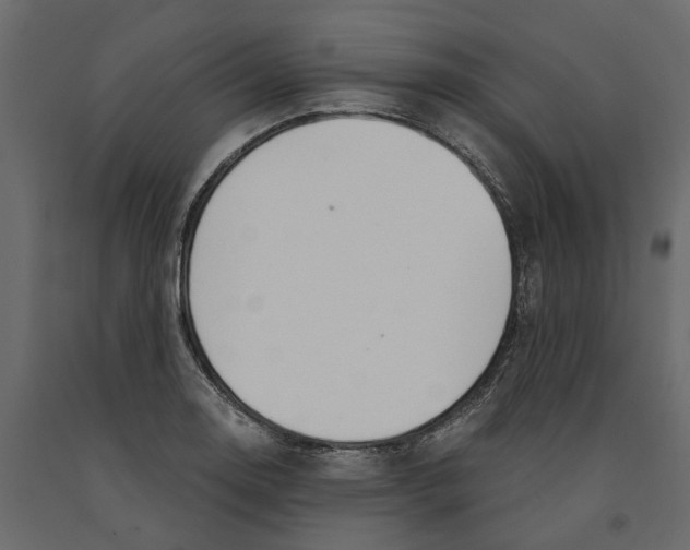 X0000090921130200708271019