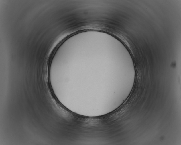 X0000090921131200708271019