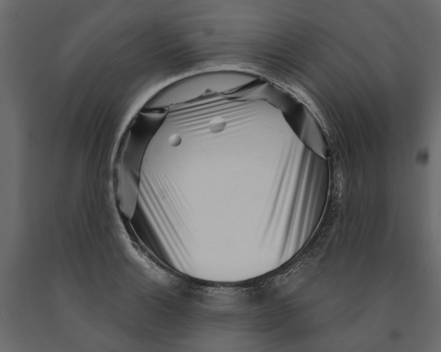 X0000090921132200708271019