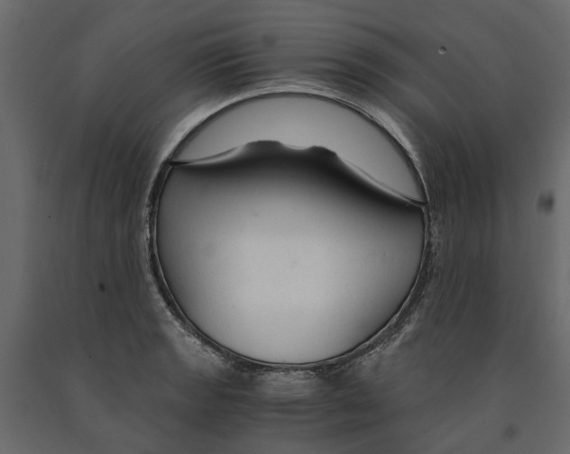 X0000090921133200708271019