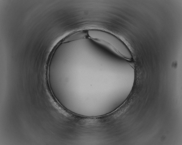 X0000090921134200708271019