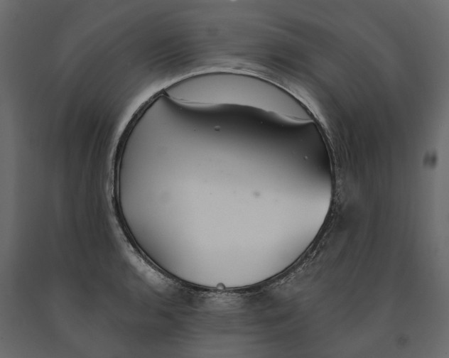 X0000090921136200708271019