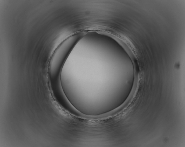 X0000090921138200708271019