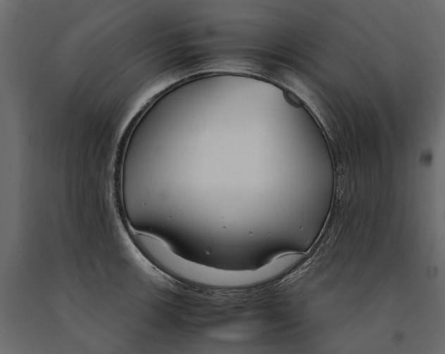 X0000090921139200708271019